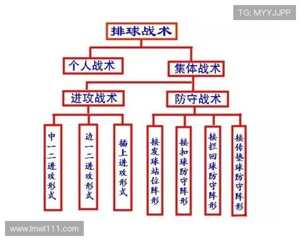 北京排球队防反体系解析:战术布局与实战应用探讨 北京排球队防反体系解析:战术布局与实战应用探讨