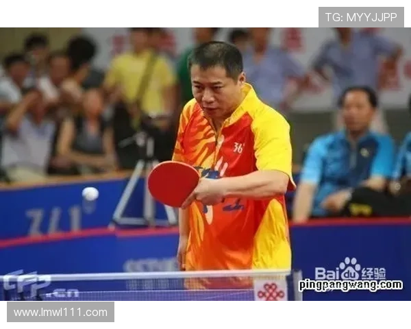 深圳乒乓球队在洲际杯中的个人能力表现分析与点评